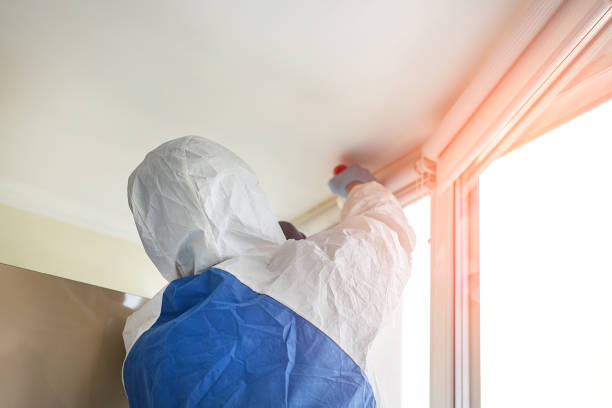 Professional Mold Removal & Remediation in Scottsville, KY